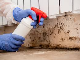 Best Mold Odor Removal Services  in Owensville, MO